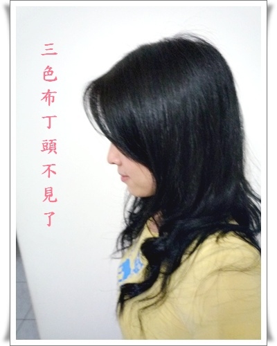 【有形有色】台北東區C/P值最高的499元專業染髮店!!!
