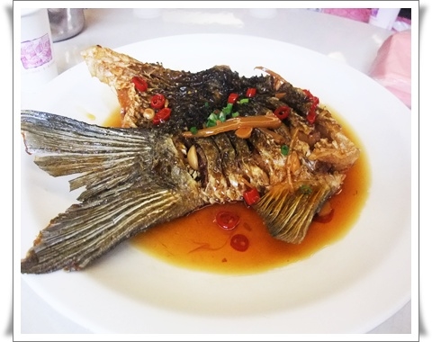 【好好味的石門活魚】沒去石門吃活魚, 別說你愛吃魚喔!!!