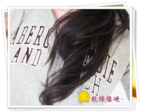 【開架新貨】用少少的錢, 讓乾燥粗硬髮變柔順乖乖髮~