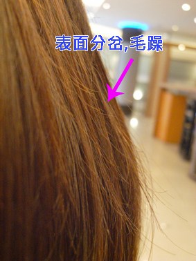 泡泡~教大家剪掉 分岔的煩惱~