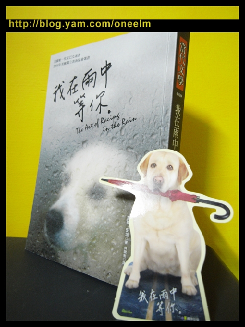 【好書】你的心,決定你所看見的……我在雨中等你