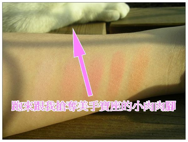 ♥MAC FAFI ! 腮紅(fashion frenzy、hipness) vs RMK精巧修容(02、21、29)