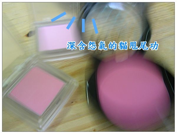 ♥MAC FAFI ! 腮紅(fashion frenzy、hipness) vs RMK精巧修容(02、21、29)