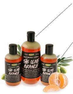 歡迎回來 LUSH 我的必買 TOP 10