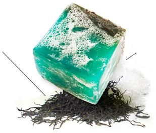 歡迎回來 LUSH 我的必買 TOP 10
