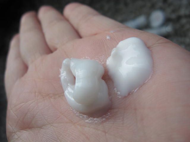 最近熱愛美國貨