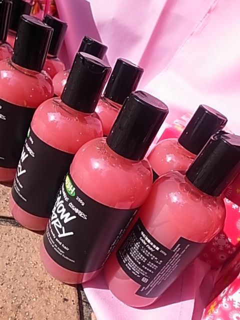 我愛聖誕節之 2010 LUSH 聖誕記者會