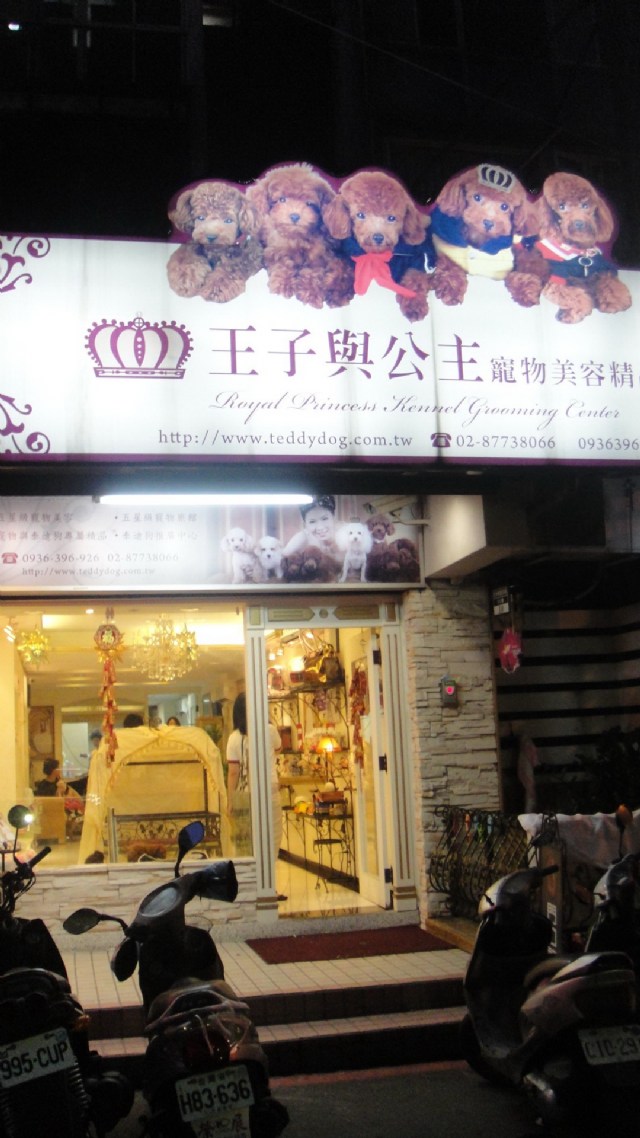 博愛寵物美容師 上 "生活一級棒"!!
