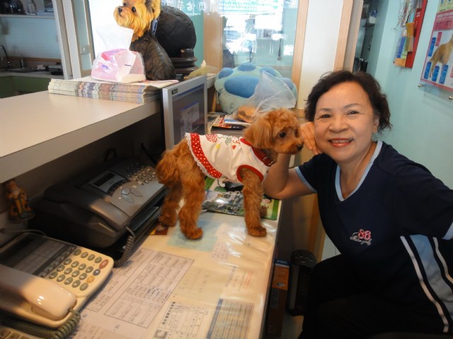 博愛動物醫院掌櫃小姐...小潔