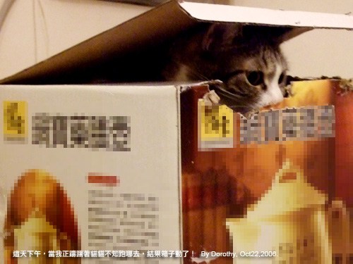 那一年。