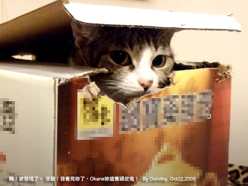 那一年。