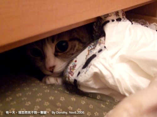 那一年。