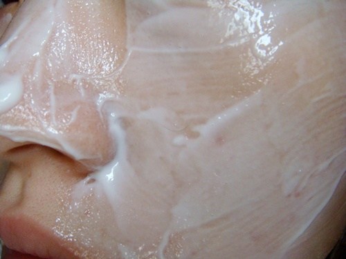美體小舖 the body shop 蜜糖燕麥面膜&蘆薈面膜