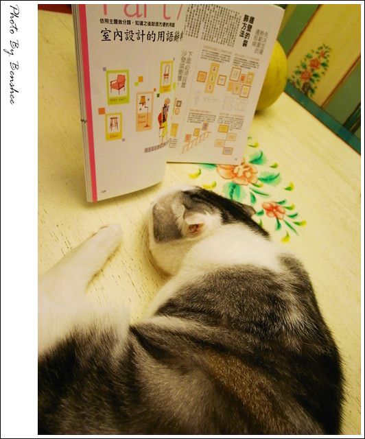 ▋裝璜日誌。客廳100% ▋
