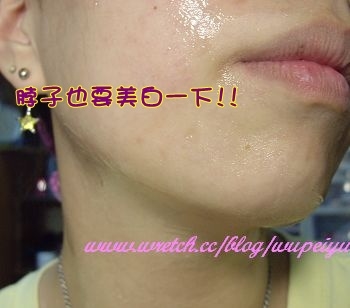 The Body Shop 藍玉米&amp;amp;amp;amp;amp;amp;amp;amp;amp;amp;amp;amp;amp;amp;amp;amp;amp;水嫩淨白面膜