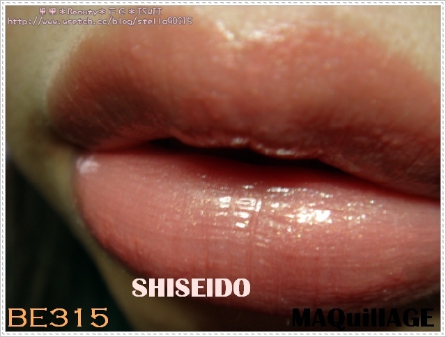 *色卡*SHISEIDO MAQuillAGE水光、恆色誘唇膏色卡