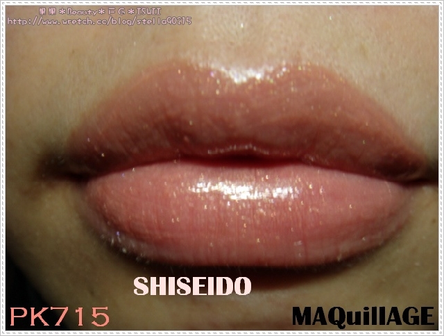 *色卡*SHISEIDO MAQuillAGE水光、恆色誘唇膏色卡