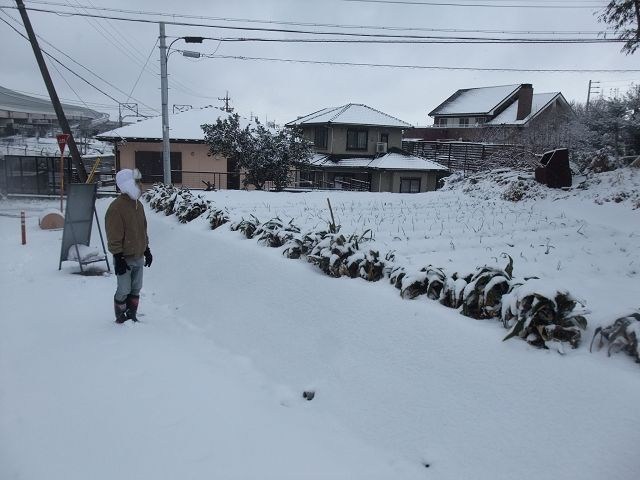 白色名古屋~