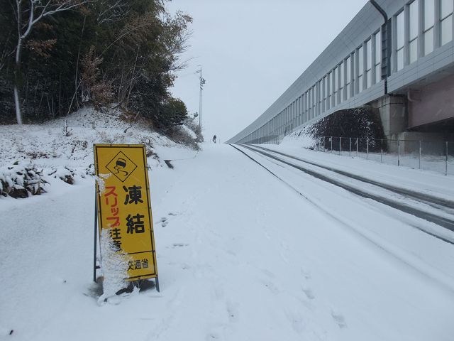 白色名古屋~