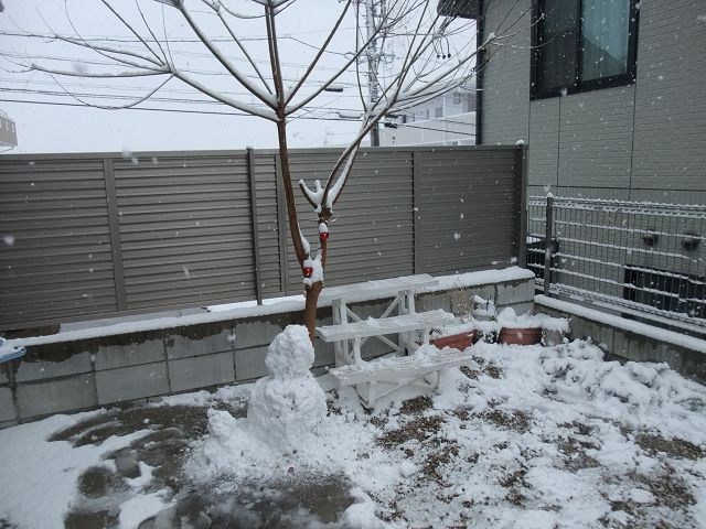 白色名古屋~