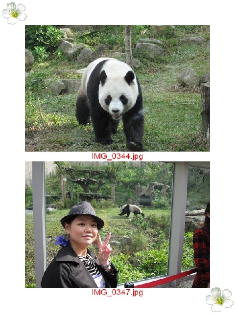 09-12-5 動物園 玩樂記