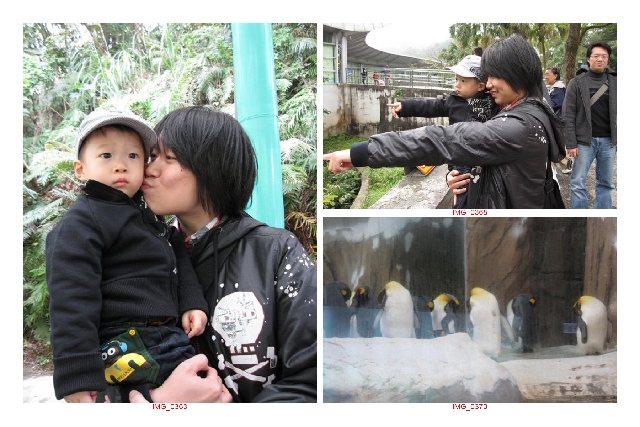 09-12-5 動物園 玩樂記