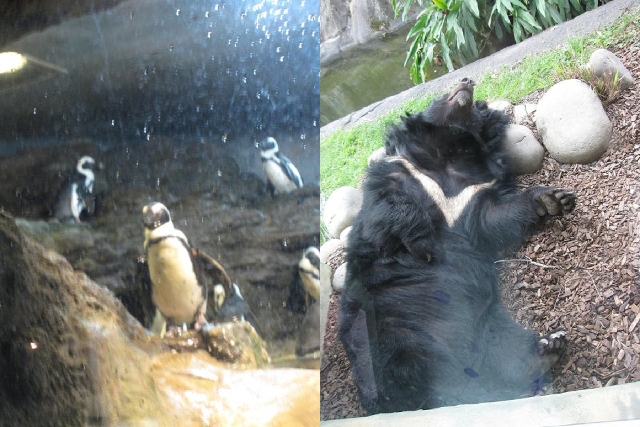 09-12-5 動物園 玩樂記