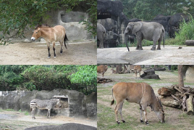 09-12-5 動物園 玩樂記