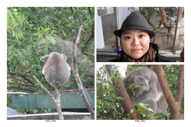 09-12-5 動物園 玩樂記