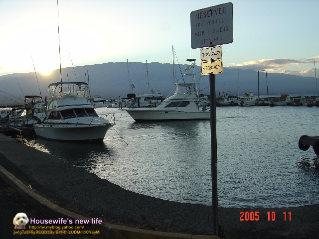 200510 ALOHA夏威夷&茂宜島浪漫自助行(三)半月彎浮潛&登火山