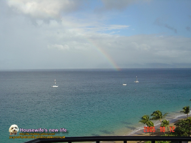 200510 ALOHA夏威夷&茂宜島浪漫自助行(四)回熱鬧的歐胡島