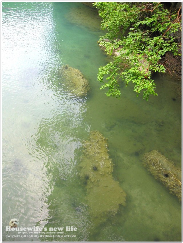 泰國蘇梅島Koh Samui玩好滴∼有點累的爬山..安通國家公園Ang Thong Marine National Park