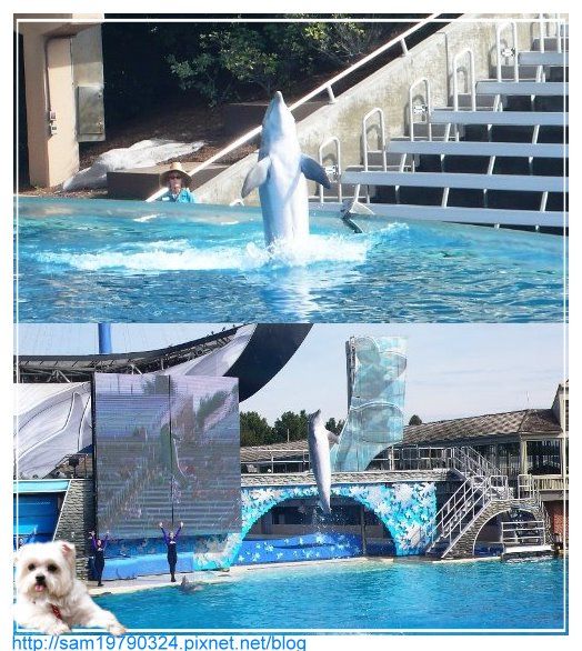 美西行part.4 ∼聖地牙哥海洋公園一日遊