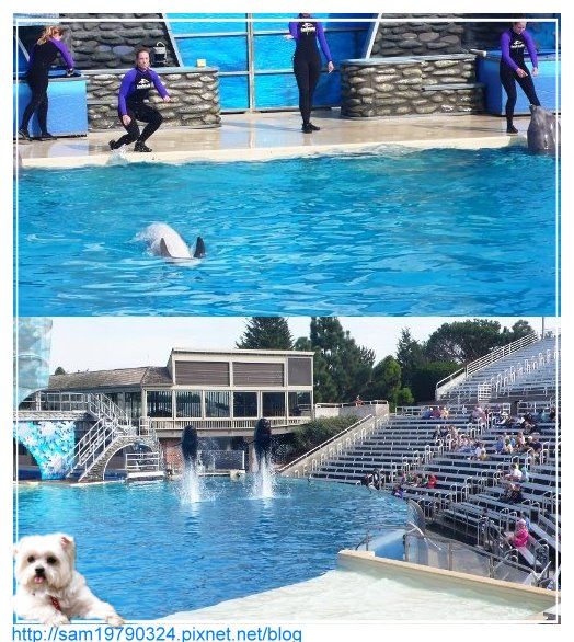 美西行part.4 ∼聖地牙哥海洋公園一日遊