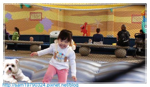 美西行part.4 ∼聖地牙哥海洋公園一日遊