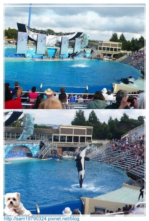 美西行part.4 ∼聖地牙哥海洋公園一日遊