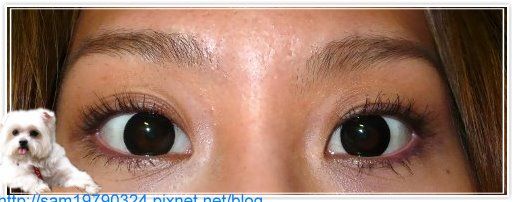 {好物}『又長又濃又翹』的美睫毛∼『Maybelline摩天濃睫毛膏』