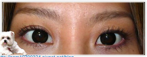 {好物}『又長又濃又翹』的美睫毛∼『Maybelline摩天濃睫毛膏』