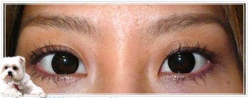 {好物}『又長又濃又翹』的美睫毛∼『Maybelline摩天濃睫毛膏』