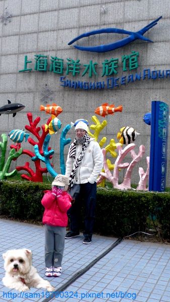 上海行~"號稱"全亞洲最大的上海海洋水族館,有活生生的受精卵分解圖耶!
