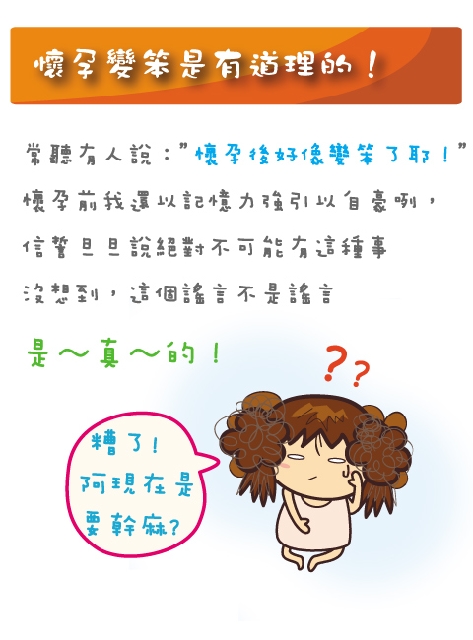 《B》懷孕變笨是有道理的!