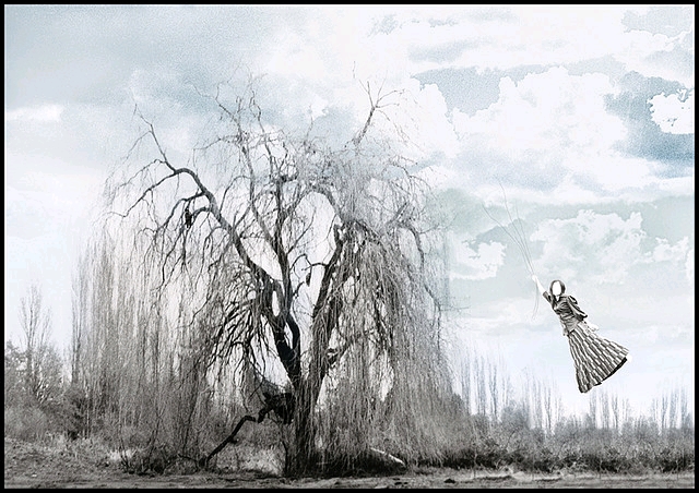 我在Emily Carr的(鳥)日子 (I)