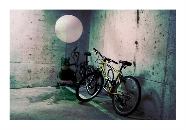 我在Emily Carr的(鳥)日子 (I)