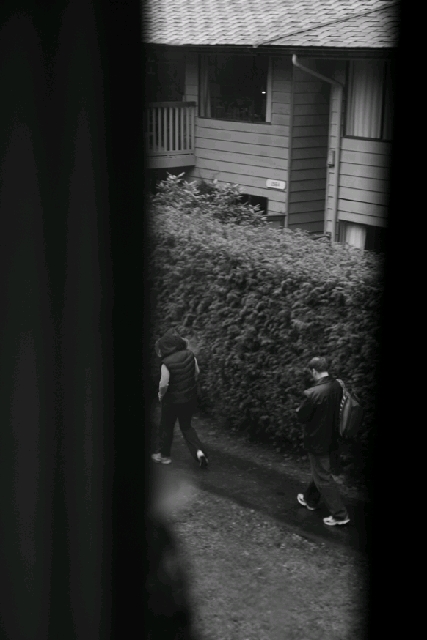 我在Emily Carr的(鳥)日子 (I)