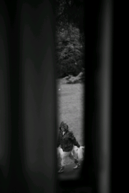 我在Emily Carr的(鳥)日子 (I)