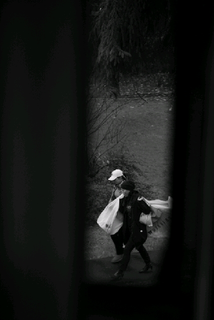 我在Emily Carr的(鳥)日子 (I)