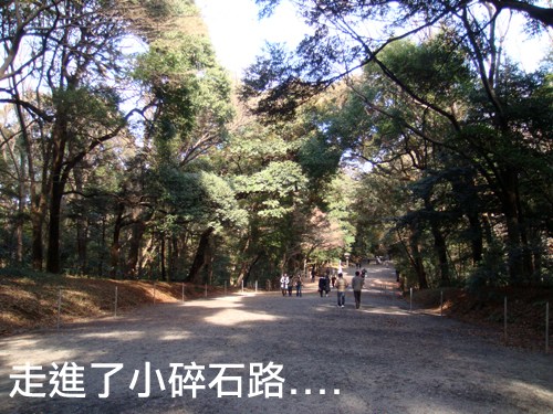 譚雅東京之旅 CHAPTER 1