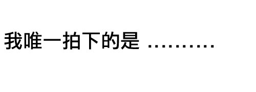 譚雅東京之旅 CHAPTER 1