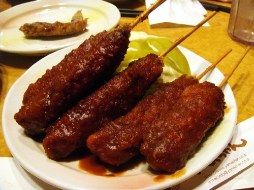 譚雅 名古屋之旅 2009 02 13th trip 1