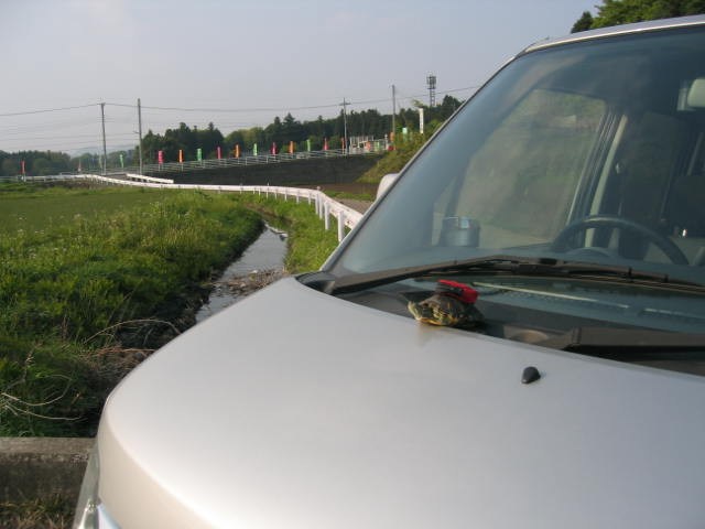 大家好!我是烏龜五郎